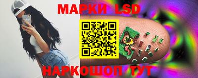 дмт Краснодар