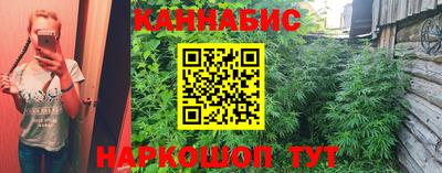 a pvp Краснознаменск