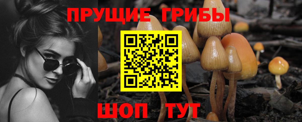 Керчь  Псилоцибиновые грибы прущие грибы  Вход с VPN 